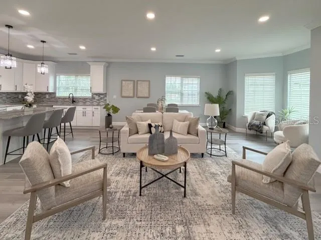 1083 S POINTE ALEXIS DRIVE Tarpon Springs, FL 34689