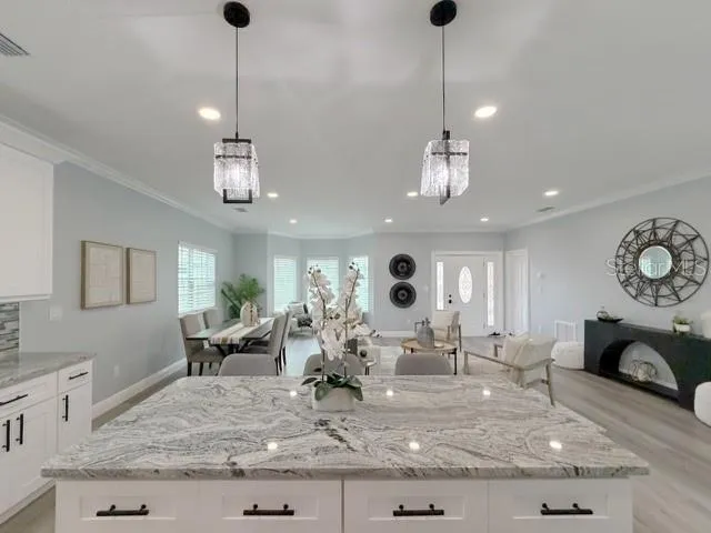 1083 S POINTE ALEXIS DRIVE Tarpon Springs, FL 34689