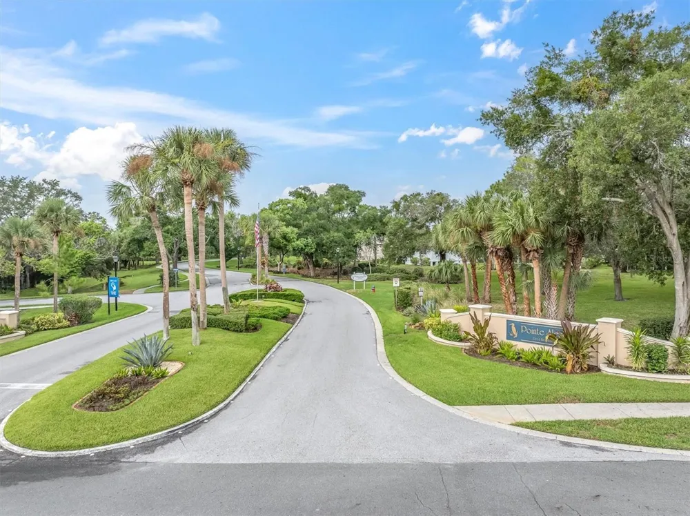1083 S POINTE ALEXIS DRIVE Tarpon Springs, FL 34689