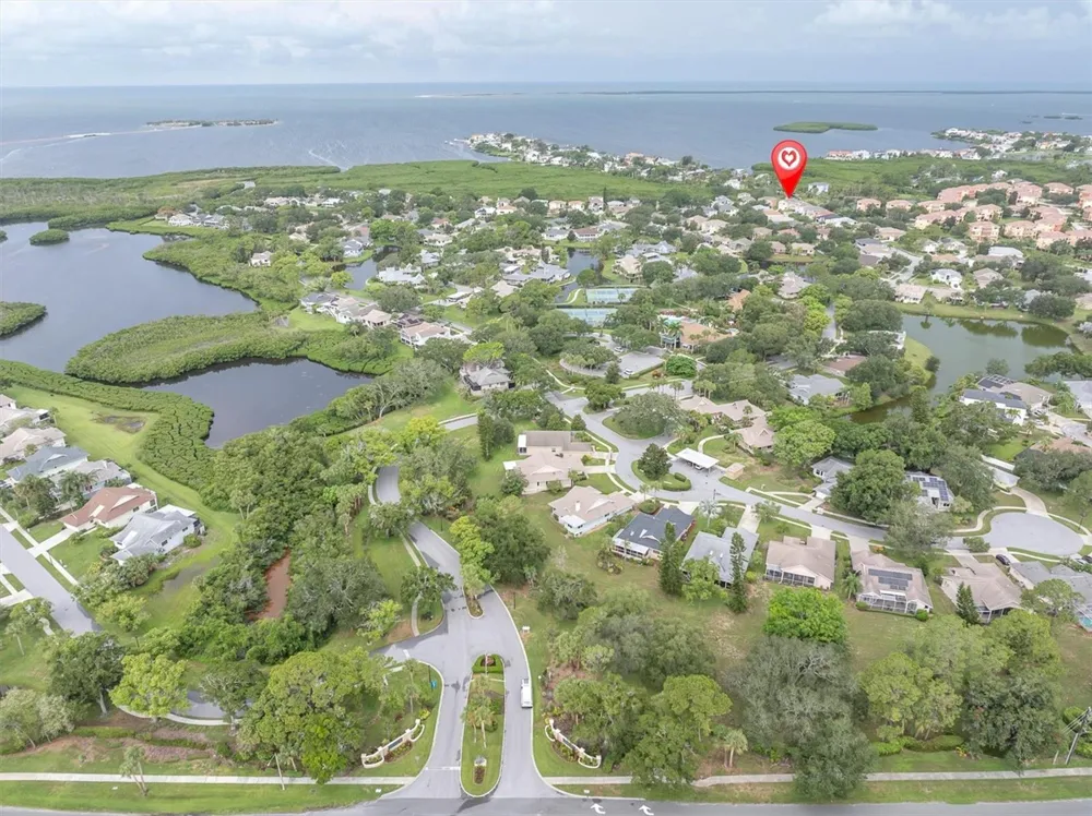 1083 S POINTE ALEXIS DRIVE Tarpon Springs, FL 34689