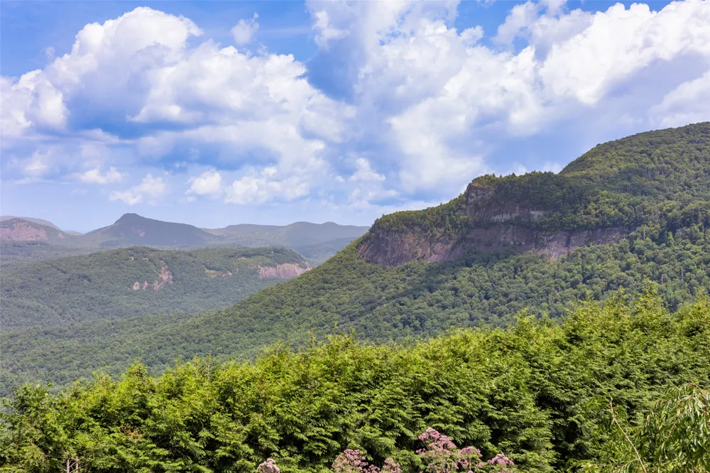 51 Bear Shadow Ridge Highlands, NC 28741