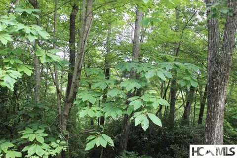 16 Whitewater Ridge Road
