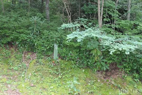 32 Whitewater Ridge Road