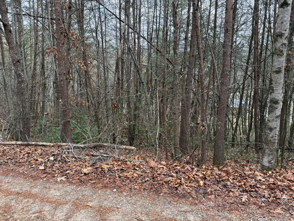 Ideal Acres Otto, NC 28763