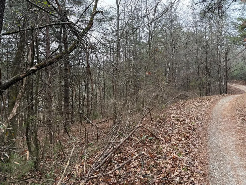 Ideal Acres Otto, NC 28763