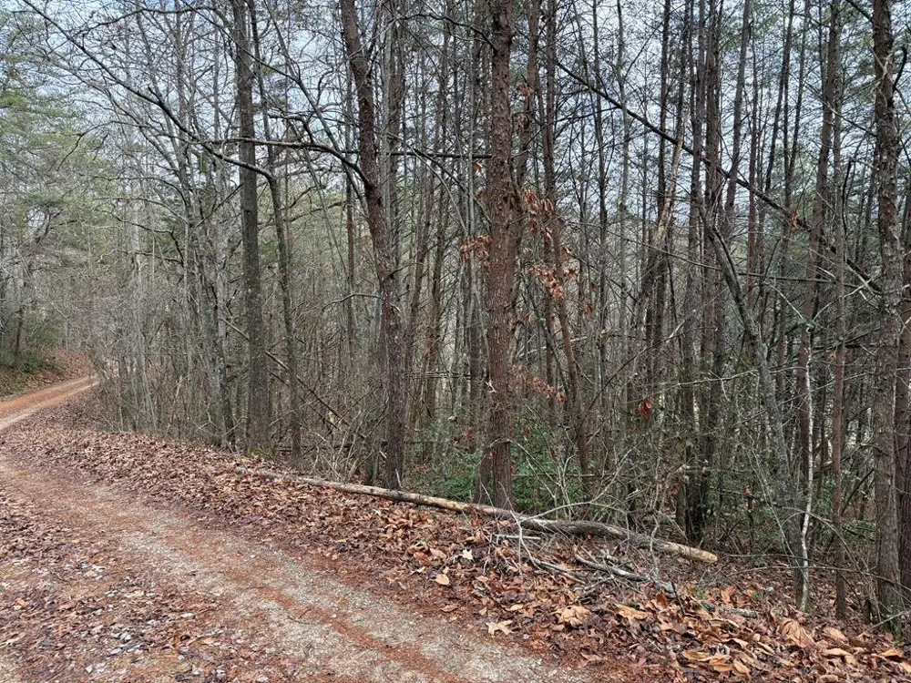 Ideal Acres Otto, NC 28763