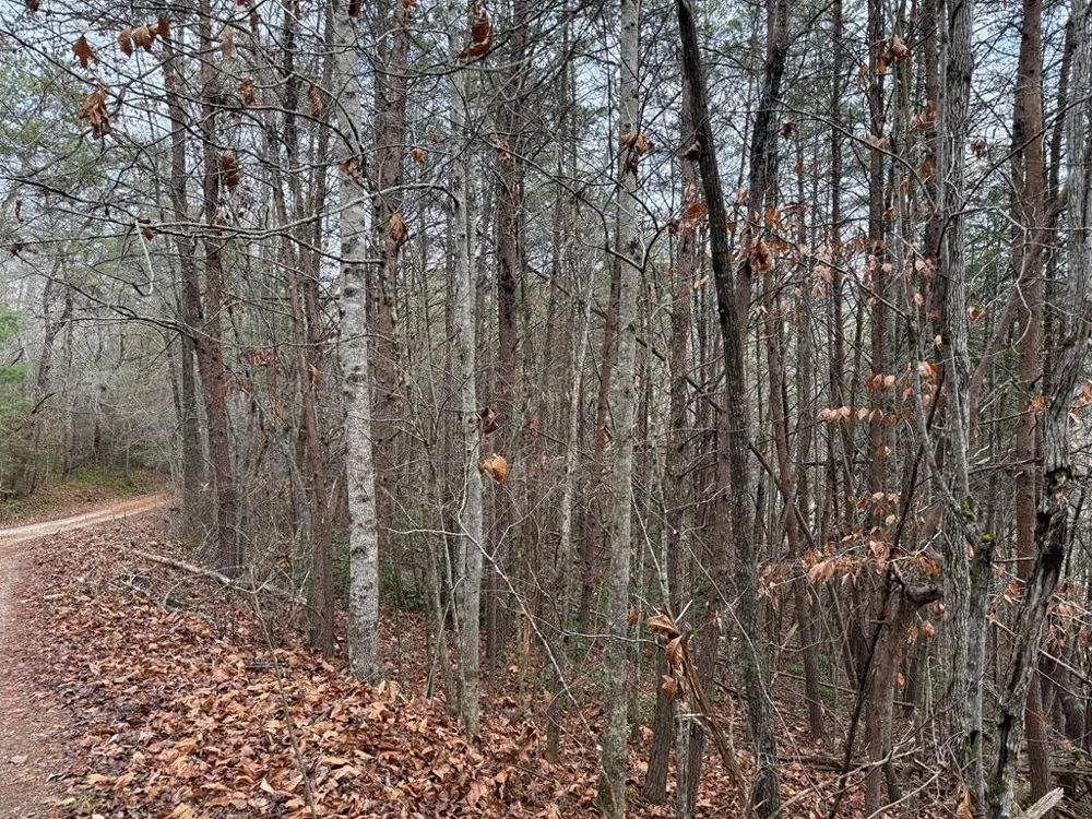 Ideal Acres Otto, NC 28763