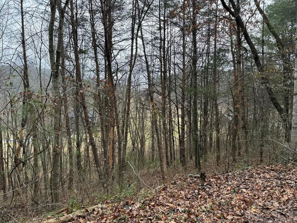 Ideal Acres Otto, NC 28763