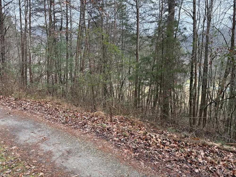 Ideal Acres Otto, NC 28763