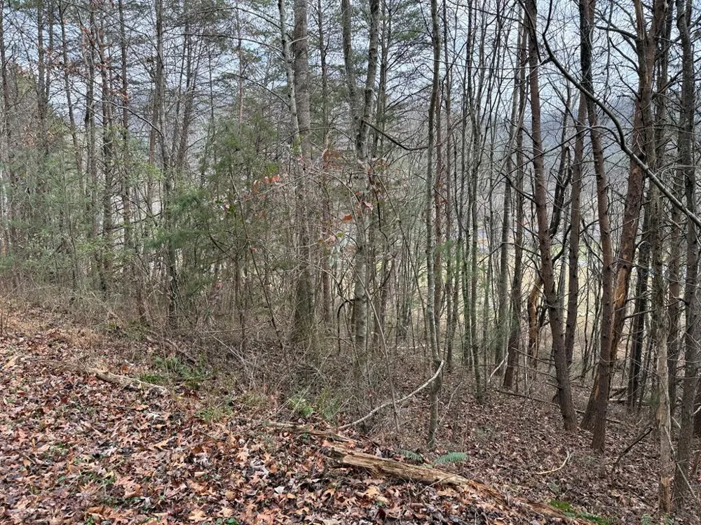 Ideal Acres Otto, NC 28763