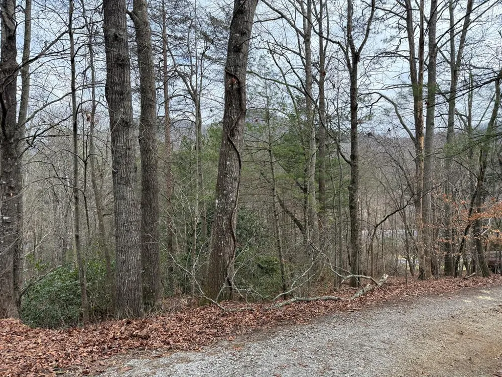 Ideal Acres Otto, NC 28763