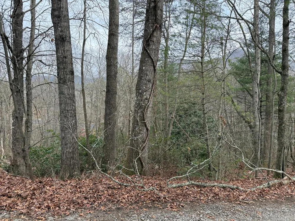Ideal Acres Otto, NC 28763