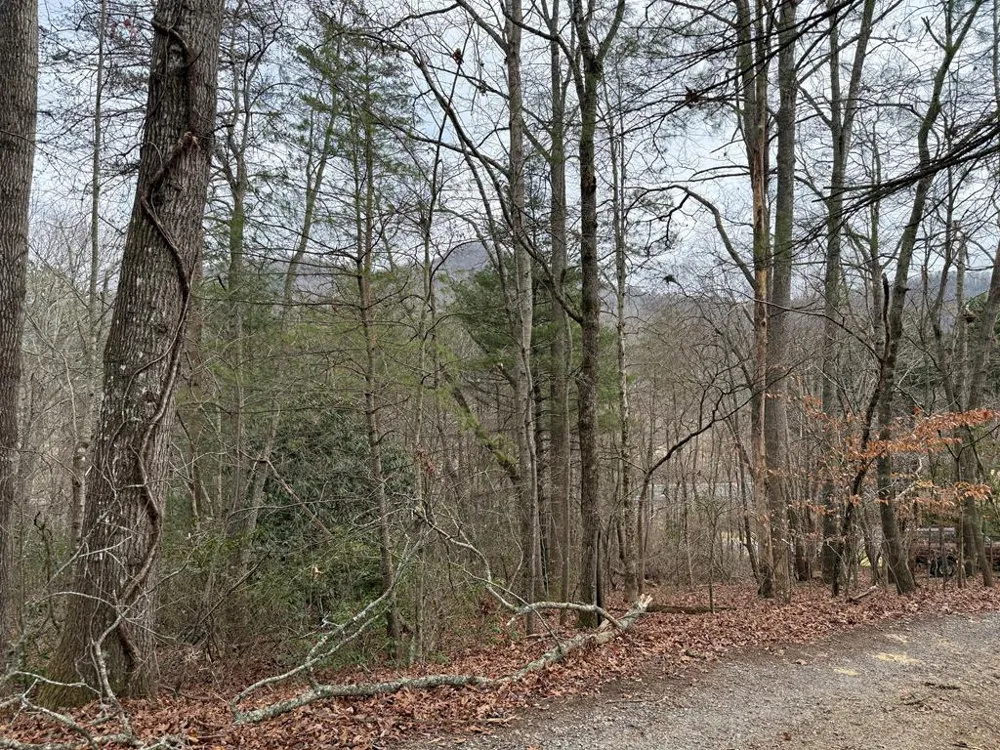 Ideal Acres Otto, NC 28763