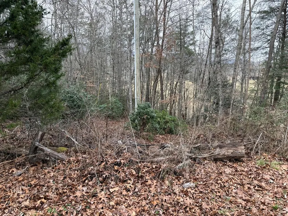 Ideal Acres Otto, NC 28763