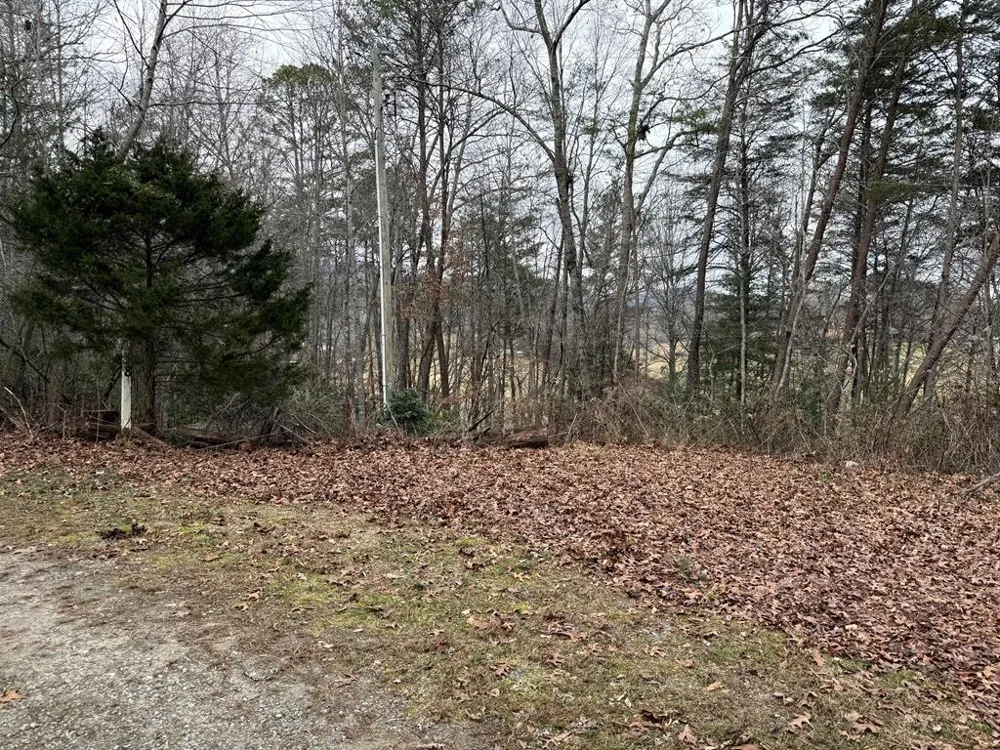 Ideal Acres Otto, NC 28763