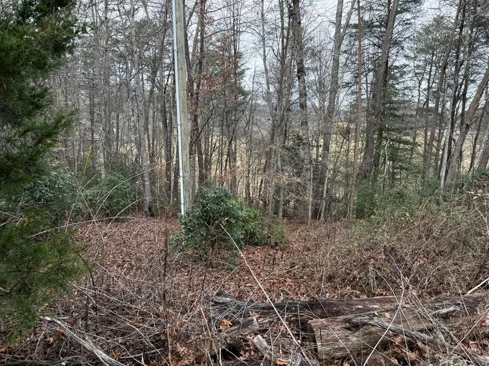 Ideal Acres Otto, NC 28763