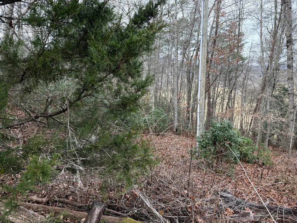 Ideal Acres Otto, NC 28763