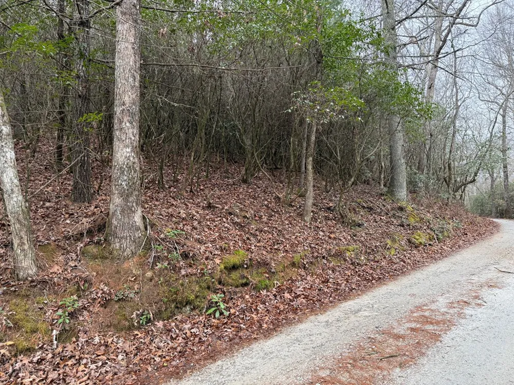 Ideal Acres Otto, NC 28763