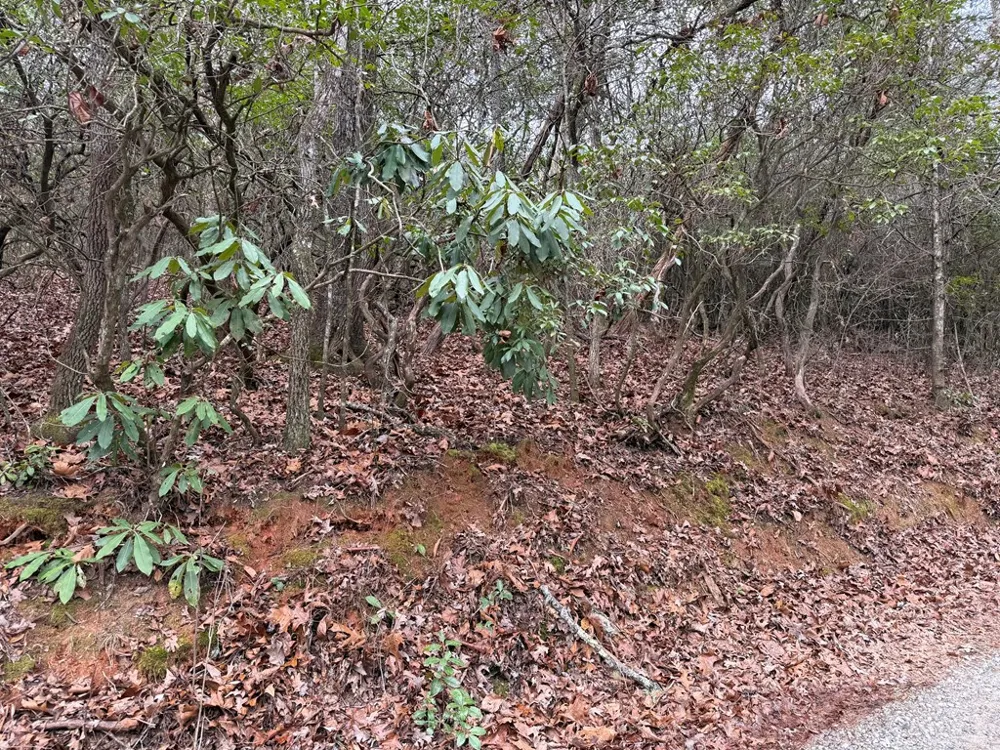 Ideal Acres Otto, NC 28763