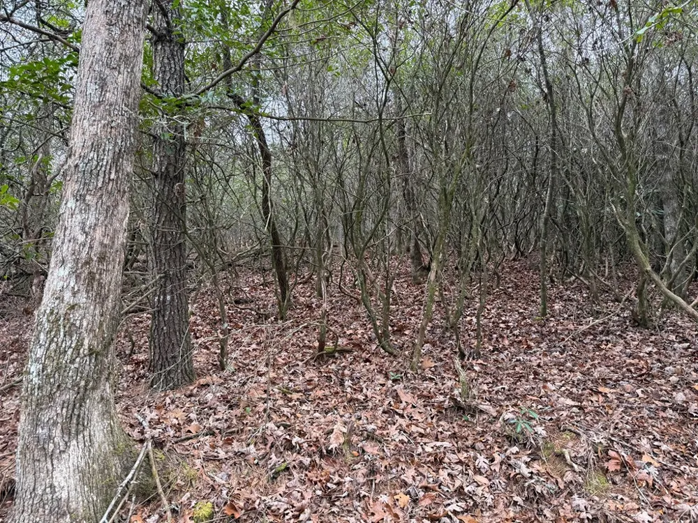 Ideal Acres Otto, NC 28763
