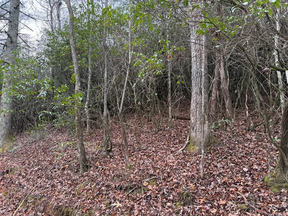 Ideal Acres Otto, NC 28763