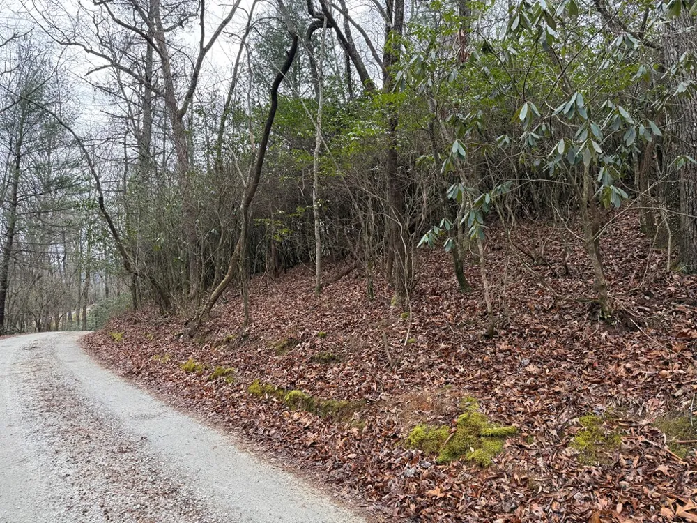 Ideal Acres Otto, NC 28763