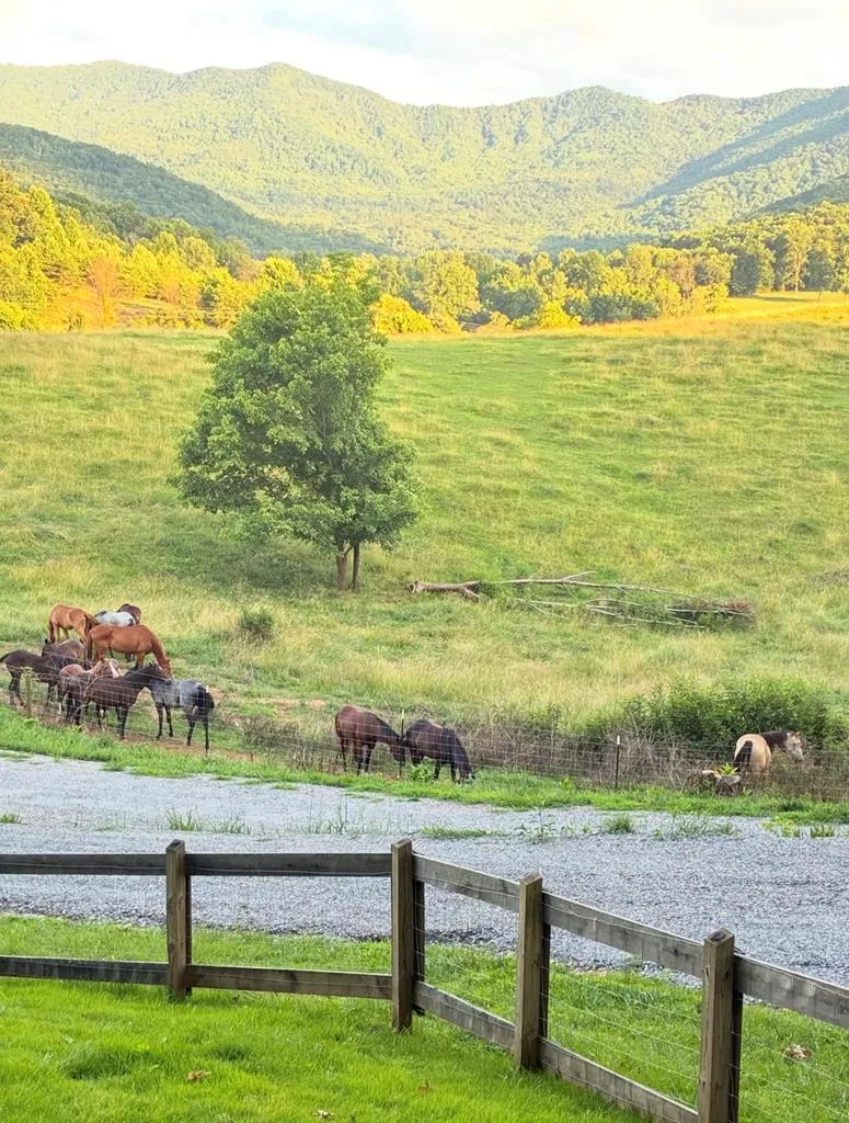 Bethabara Loop Hayesville, NC 28904