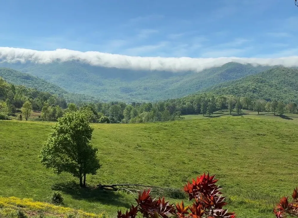 Bethabara Loop Hayesville, NC 28904