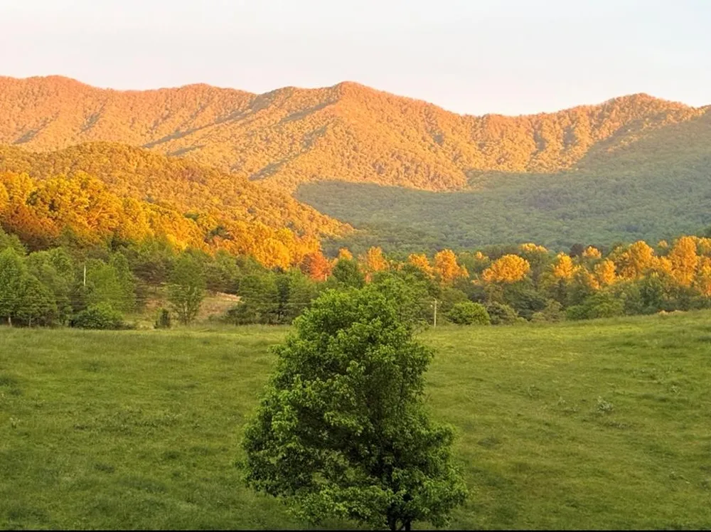 Bethabara Loop Hayesville, NC 28904