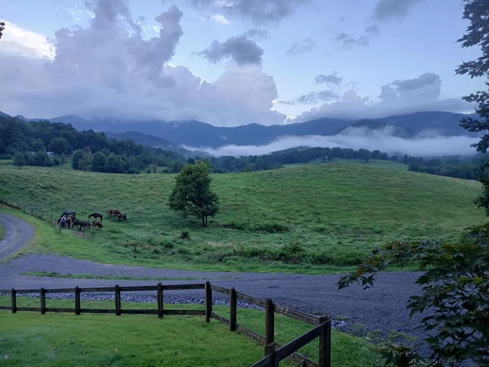 Bethabara Loop Hayesville, NC 28904