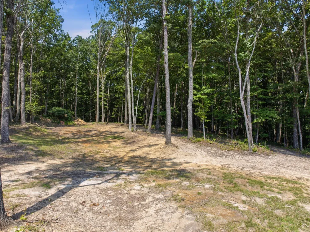 274 Greenwood Lane Pikeville, TN 37367