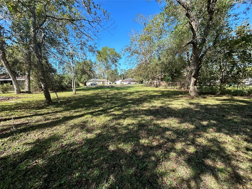 1106 Earley Street Sweeny, TX 77480