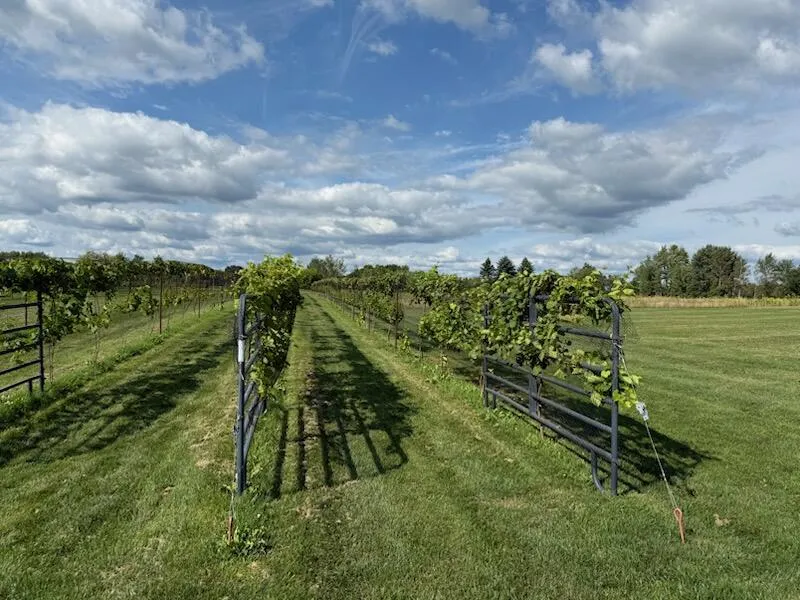 2665 E Moore Road Grant, MI 49327