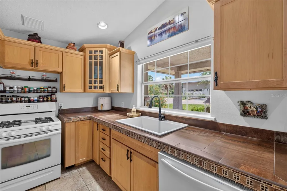 13342 W LAKE YALE ROAD Umatilla, FL 32784