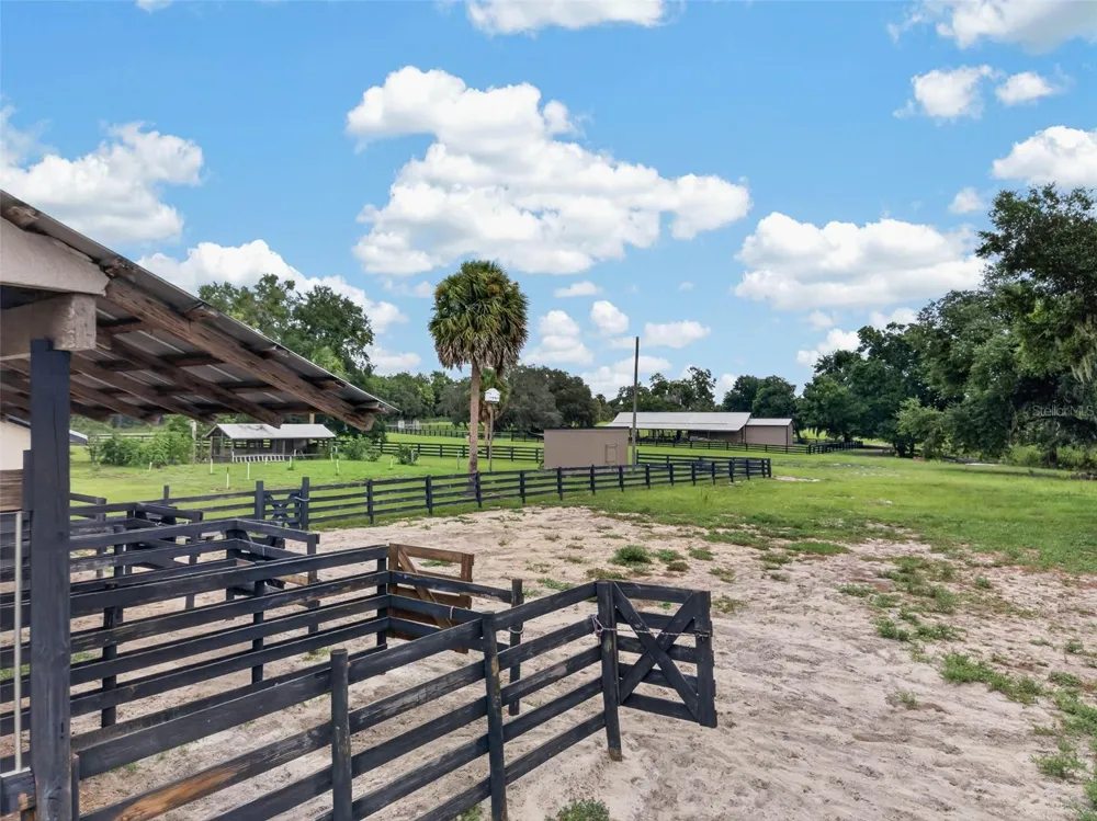 13342 W LAKE YALE ROAD Umatilla, FL 32784