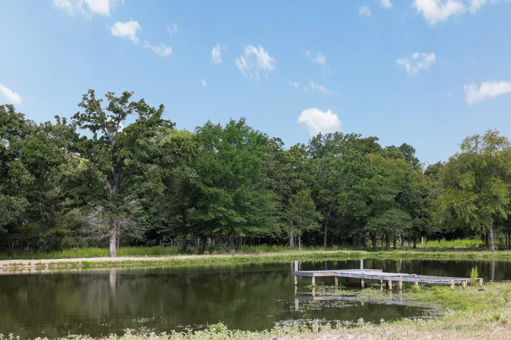 3835 County Road 151 Bedias, TX 77831