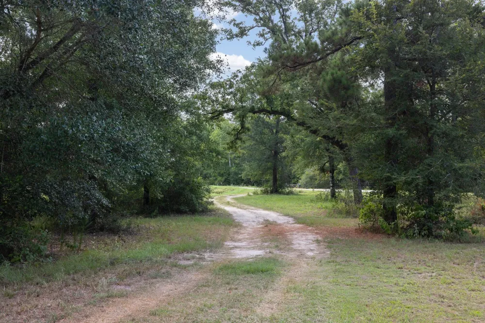 3835 County Road 151 Bedias, TX 77831