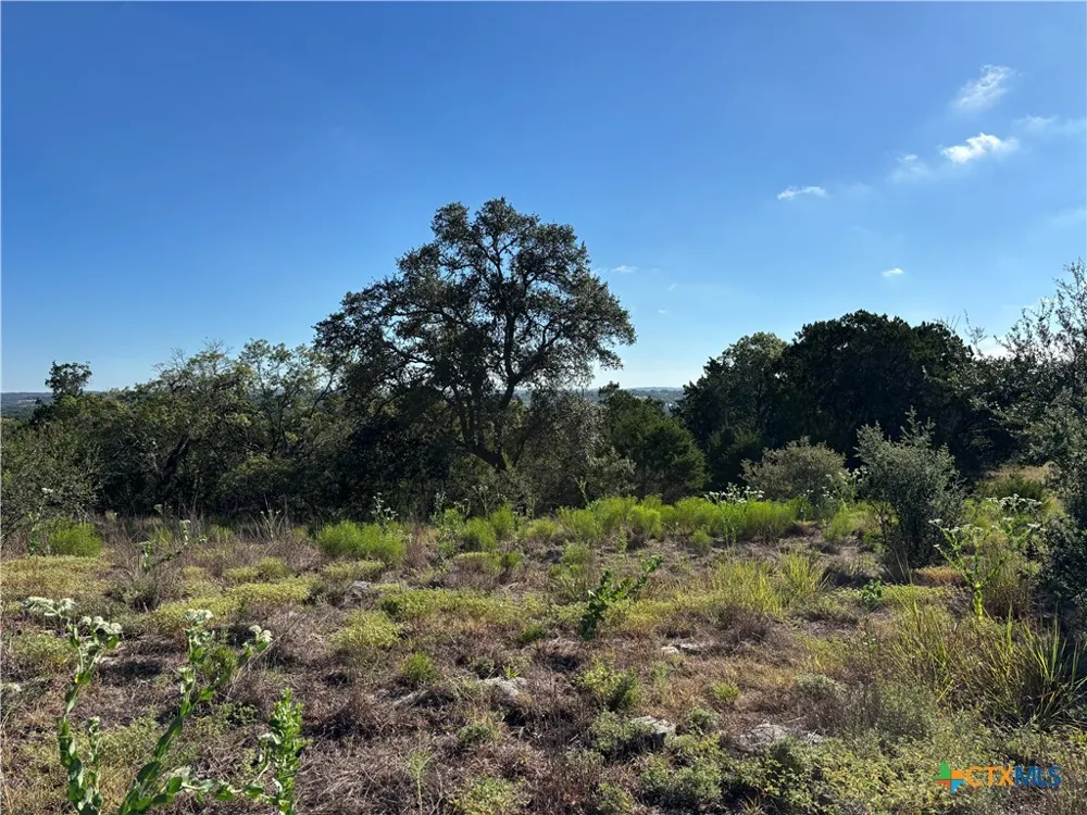 190 Spiritual Pass Spring Branch, TX 78070