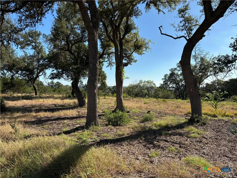 190 Spiritual Pass Spring Branch, TX 78070