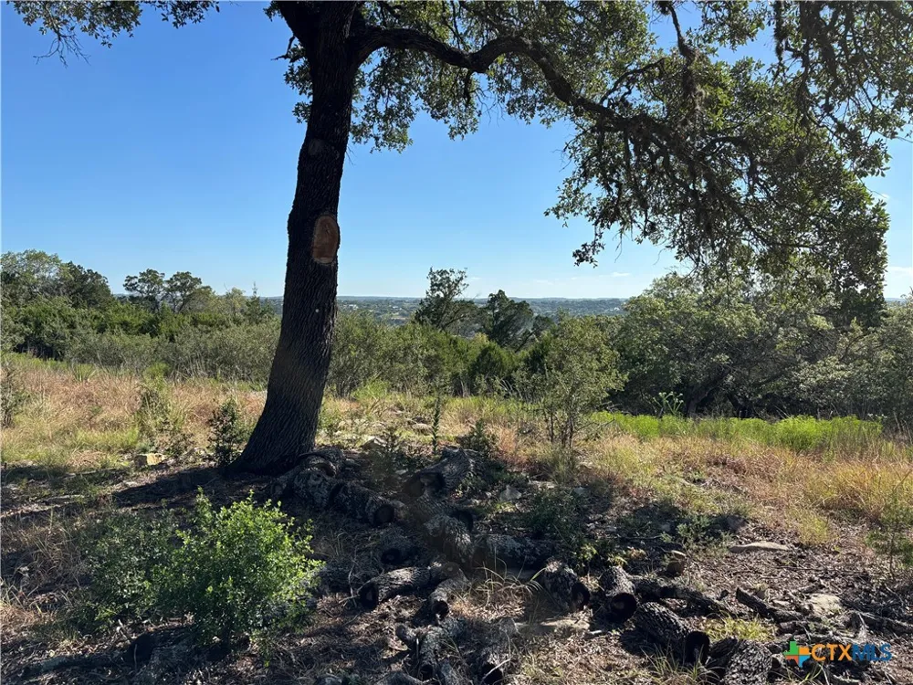 190 Spiritual Pass Spring Branch, TX 78070