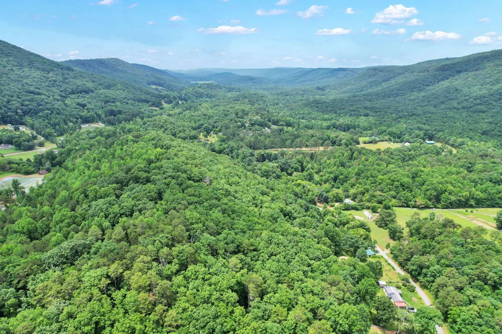 1241 Upper Cove Road Dayton, TN 37321