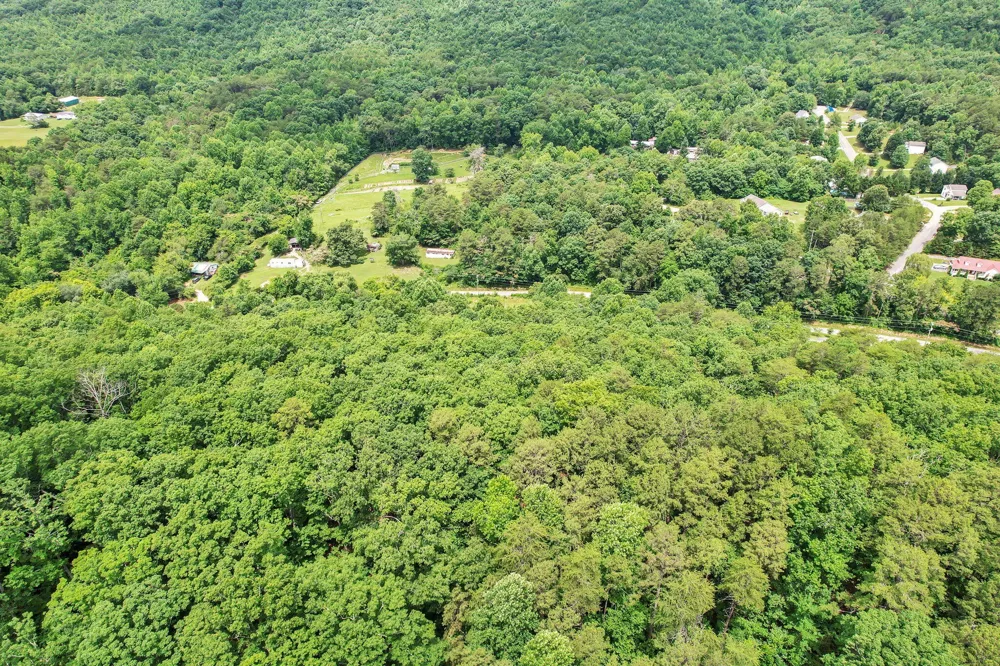 1241 Upper Cove Road Dayton, TN 37321