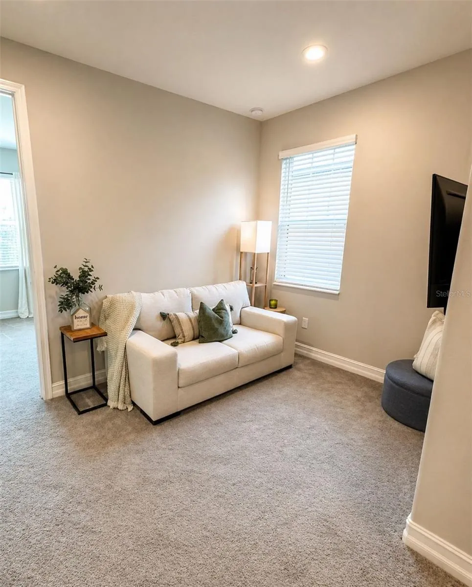 5054 SAN MARTINO DRIVE Wesley Chapel, FL 33543