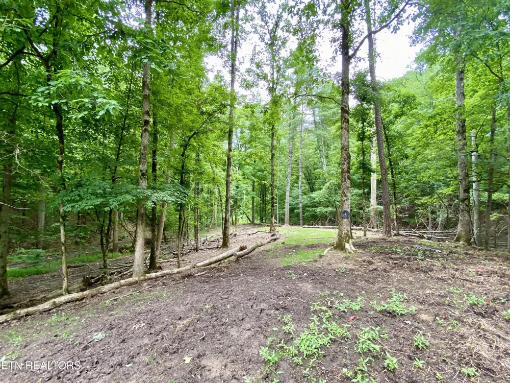 207 Blackburn Lane Lenoir City, TN 37771