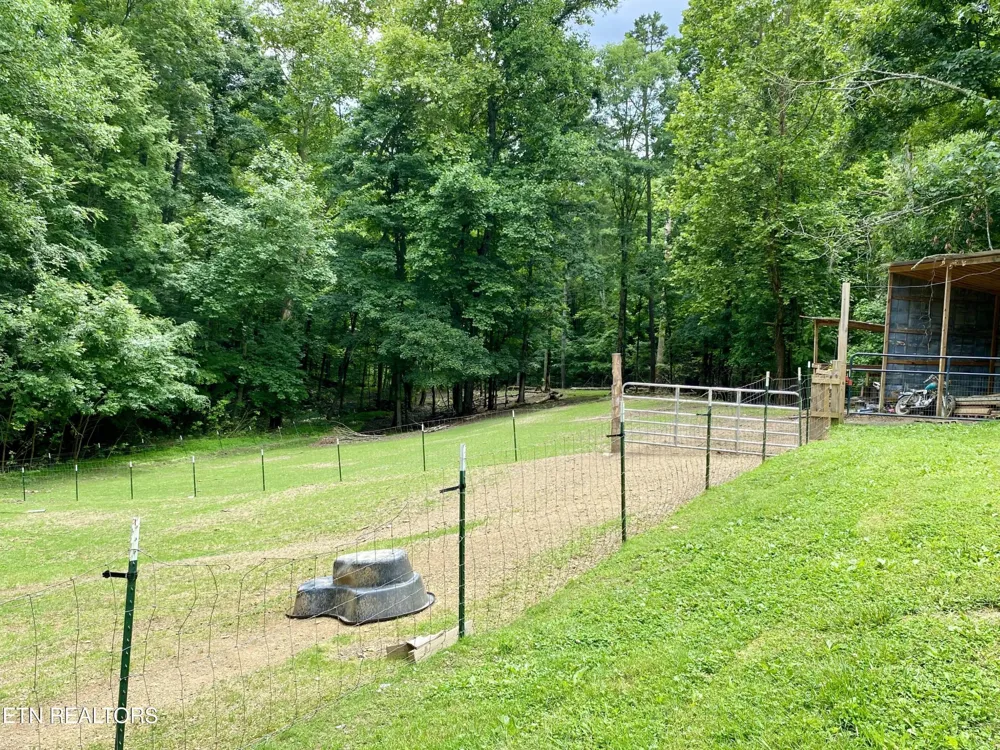 207 Blackburn Lane Lenoir City, TN 37771