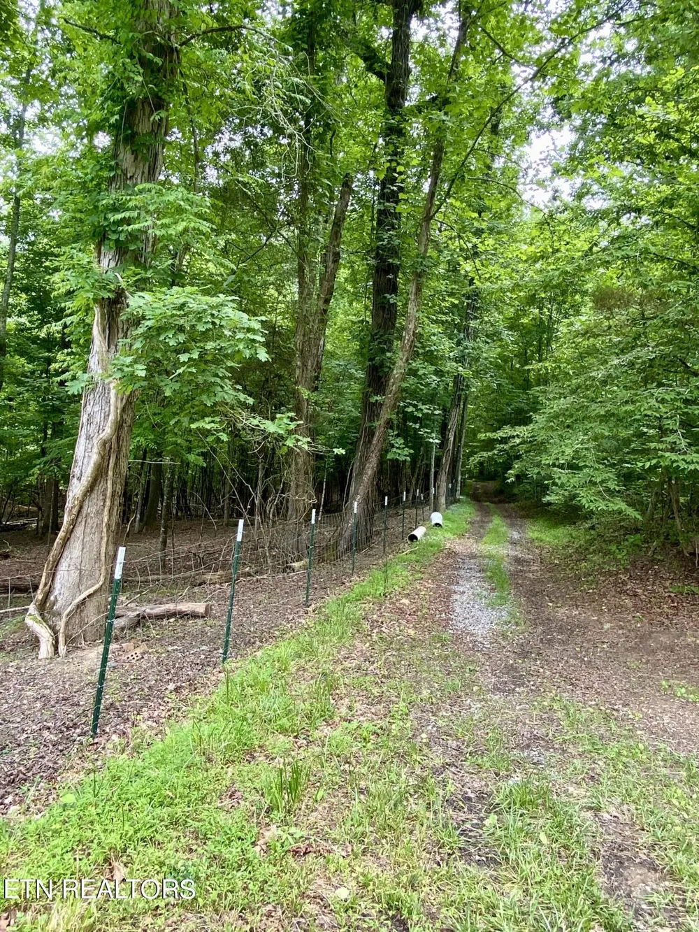 207 Blackburn Lane Lenoir City, TN 37771