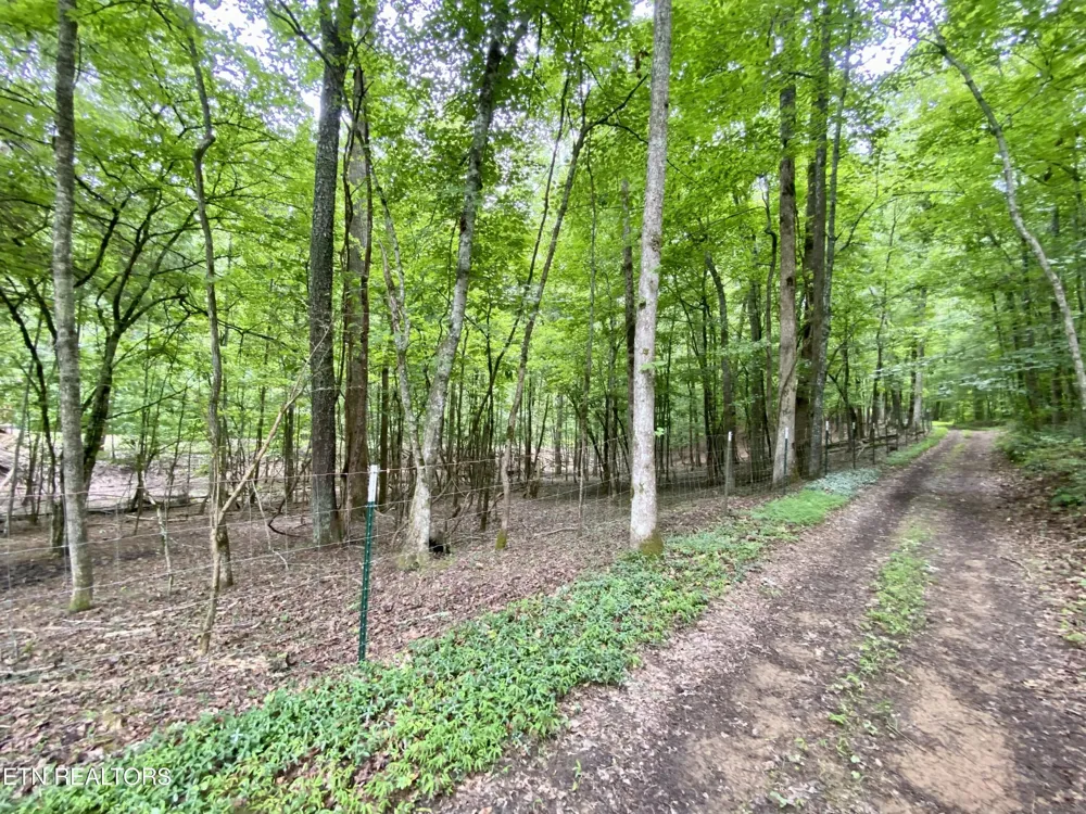 207 Blackburn Lane Lenoir City, TN 37771