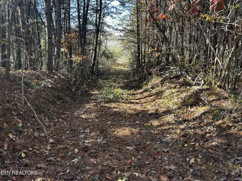 0 Shaddon Road Lot 2