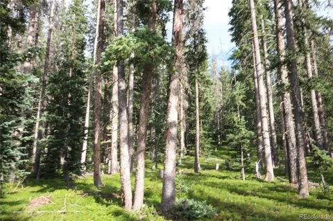 LOT 6524 Forbes Road