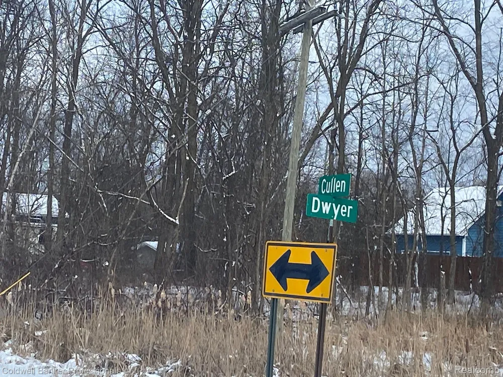8899 DWYER ROAD Hartland Township, MI 48855